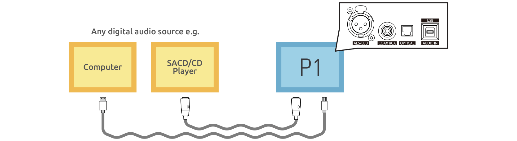 LUMIN P1 digital inputs